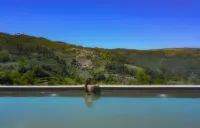 MW Douro Wine & Spa - 5つ星