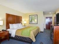 Comfort Inn Woodstock Shenandoah Hotels in Shenandoah County