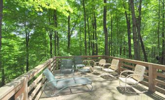 Black Forest - 5 Bedroom Escape