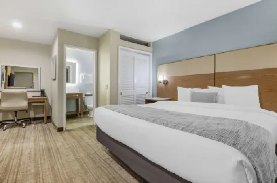 Best Western Carlsbad by the Sea マクレラン＝パロマー空港周辺のホテル