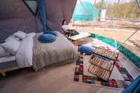 หากิมาซึอาอินเทอร์เนชั่นแนล