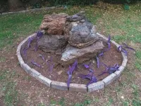 Cozy Studio Room to Rent in Johannesburg City Hotels in Bryanston