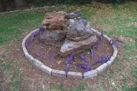 Cozy Studio Room to Rent in Johannesburg City