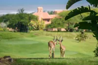 San Lameer Villa 2704