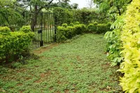 Ose Cottages
