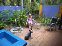 بينك فلامينجو ريزورت