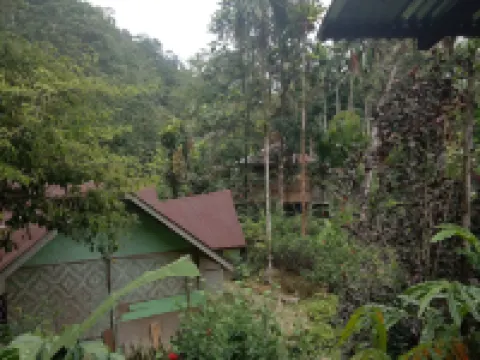 Green Lodge Tangkahan Hotels in Langkat Regency