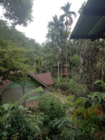 Green Lodge Tangkahan Отели в г. Namu Sialang