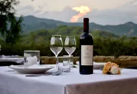Villa Permet Hotels in Permet