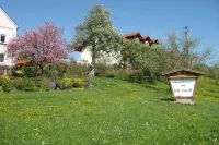 Quiet Stay in Rotthalmunster