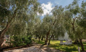 Apartment Ulivo with Pool and Private Beach