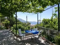 Apartments Olive Hotels in Mlini