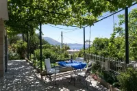 Apartments Olive Hotels in Mlini