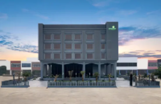 Lemon Tree Hotel, Hisar فنادق في 