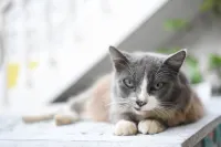 Cancun Guest House 6