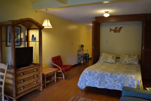 Cozy Ground Floor Studio Unit Hotels in Maui
