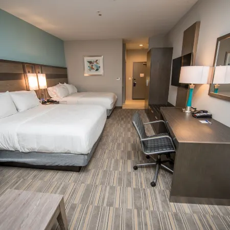 Holiday Inn Express & Suites LAKE CHARLES SOUTH CASINO AREA by IHG