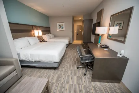 Holiday Inn Express & Suites Lake Charles South Casino Area