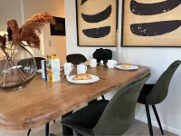 Wellness Lodge Hottub Hotels in Haarle