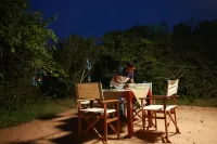 Yala Safari and Relax Camping