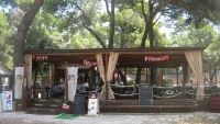 Arena Stoja Camping Homes - bar