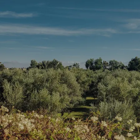 Sirayane Boutique Hotel & Spa Marrakech