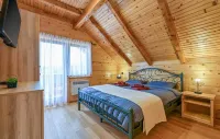 Luxury Villa in Vinogradi Ludbreski - Pools