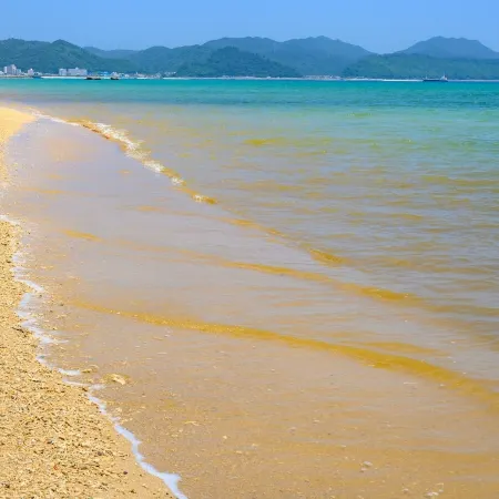 Onna Resort