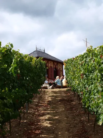 Weinhotel Kaisergarten Отели в г. Вестхофен