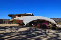 Sn Tony Hotel & Spa - Ramah Hewan Peliharaan