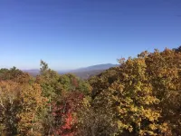 The Edelweiss Estate