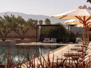 The Ritual A Wellness Retreat