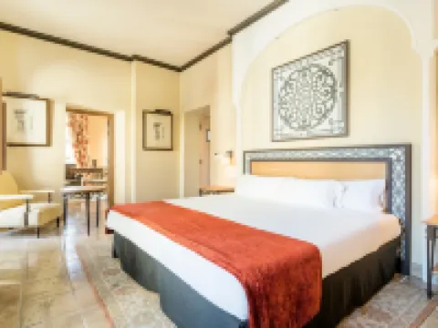 Hotel Ilunion Mérida Palace Hotels in Merida