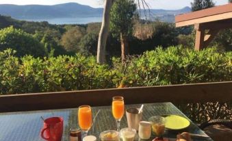 Hotel les Hauts de Porto-Vecchio
