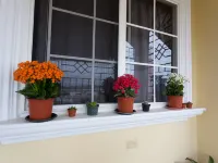The Hellshire Beach House Hotels in Hellshire