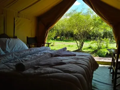 Mara Olodare Hotels in 