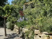 Le Jardin de Lau Hotels in Aubignan