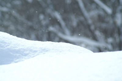 ホテル周辺 湯元ニセコプリンスホテルひらふ亭の写真