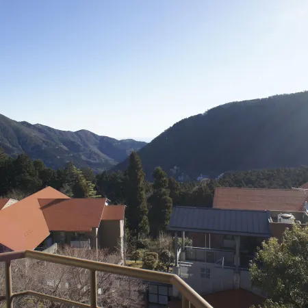 Hakone Forest of Verde