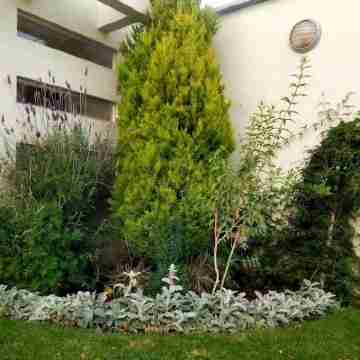 Minimalist Department Hotel Exterior