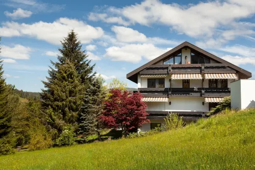 Hotel Petra Hotels in Kniebis