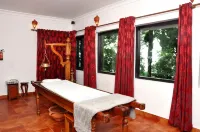 蒙納大樹酒店 - SPA
