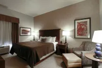 เท็ดดี้ส เรสซิเดนเชียล สวีทส์ นิวทาวน์ โรงแรมใน