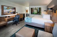 Best Western Plus Humboldt Bay Inn Hôtels à : Eureka