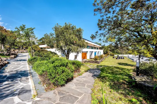 Jeju BOM Stay & Art Gallery