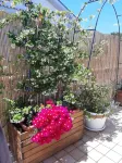 B&B Smartfit House - Room & Relax in Pescara Hotels in Spoltore