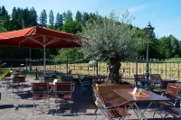Landhaus Wacker Hotels in Freudenberg