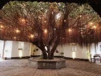 Artisan Villa Hotels near Saku Curtains