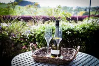 Waitomo Orchard Estate B&B Hotels in Waitomo Caves