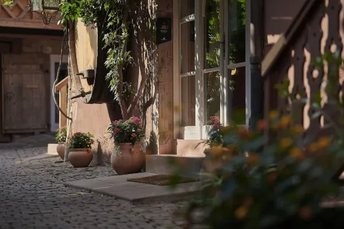 釣魚藤水療中心酒店 聖伊波利特酒店